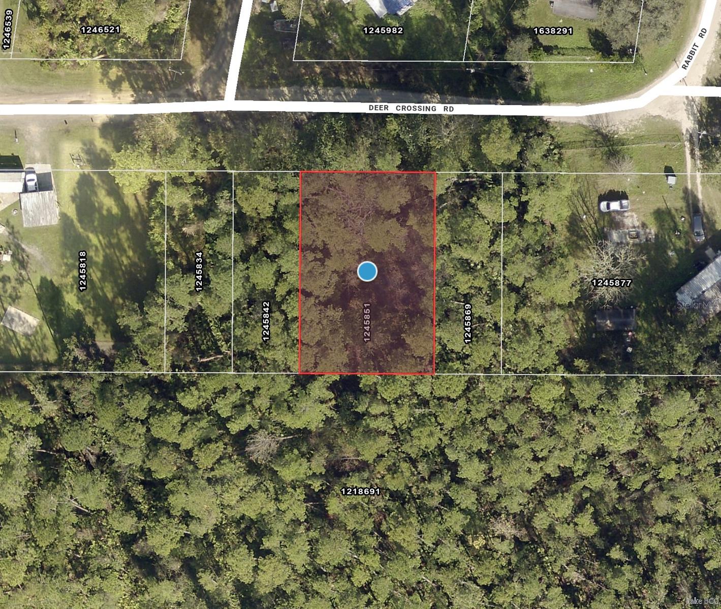 Details for Tbd Deer Crossing Road, ALTOONA, FL 32702