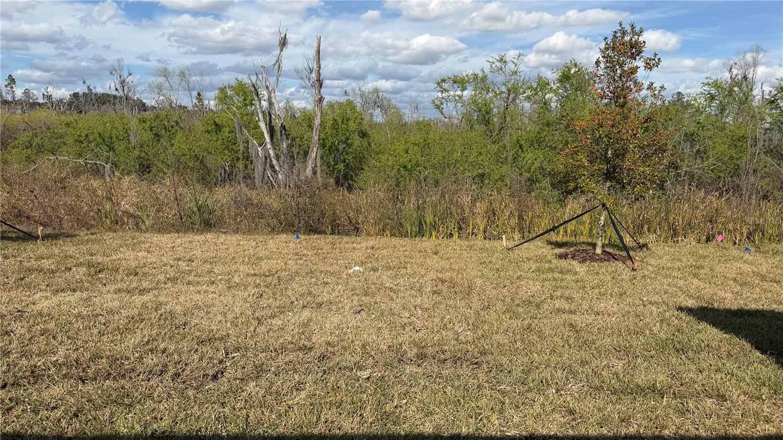 Image 25 of 37 For 1629 Tropical Oasis Avenue