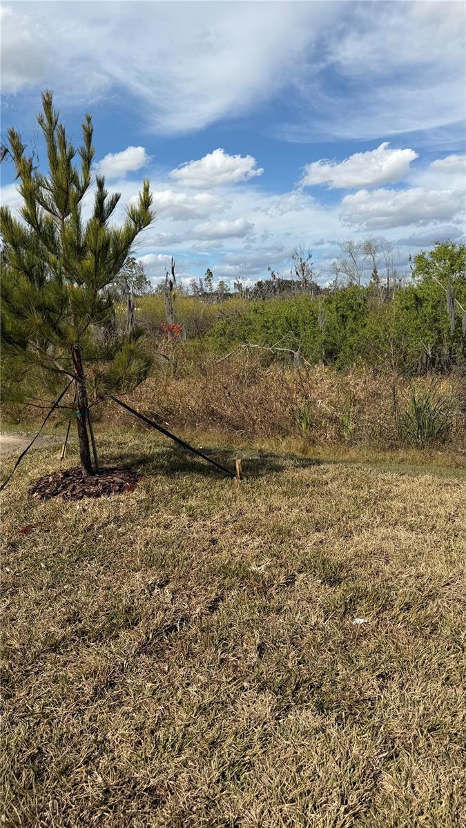 Image 28 of 37 For 1629 Tropical Oasis Avenue