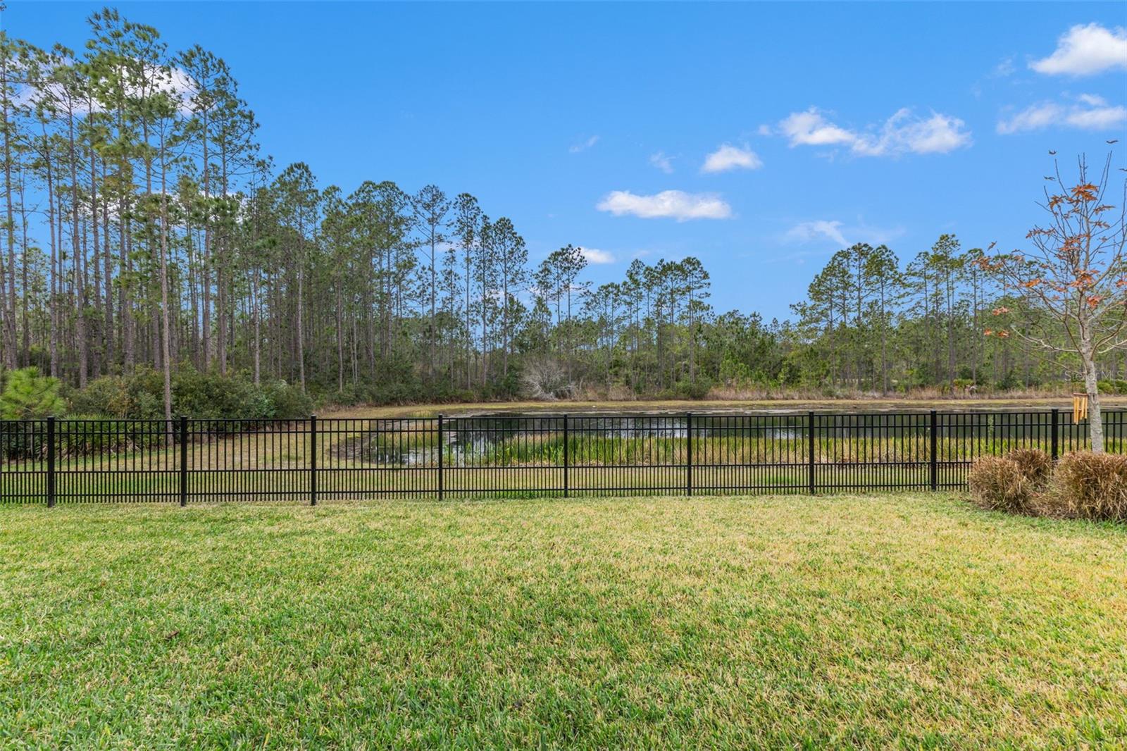 Image 47 of 67 For 4058 Tour Trace