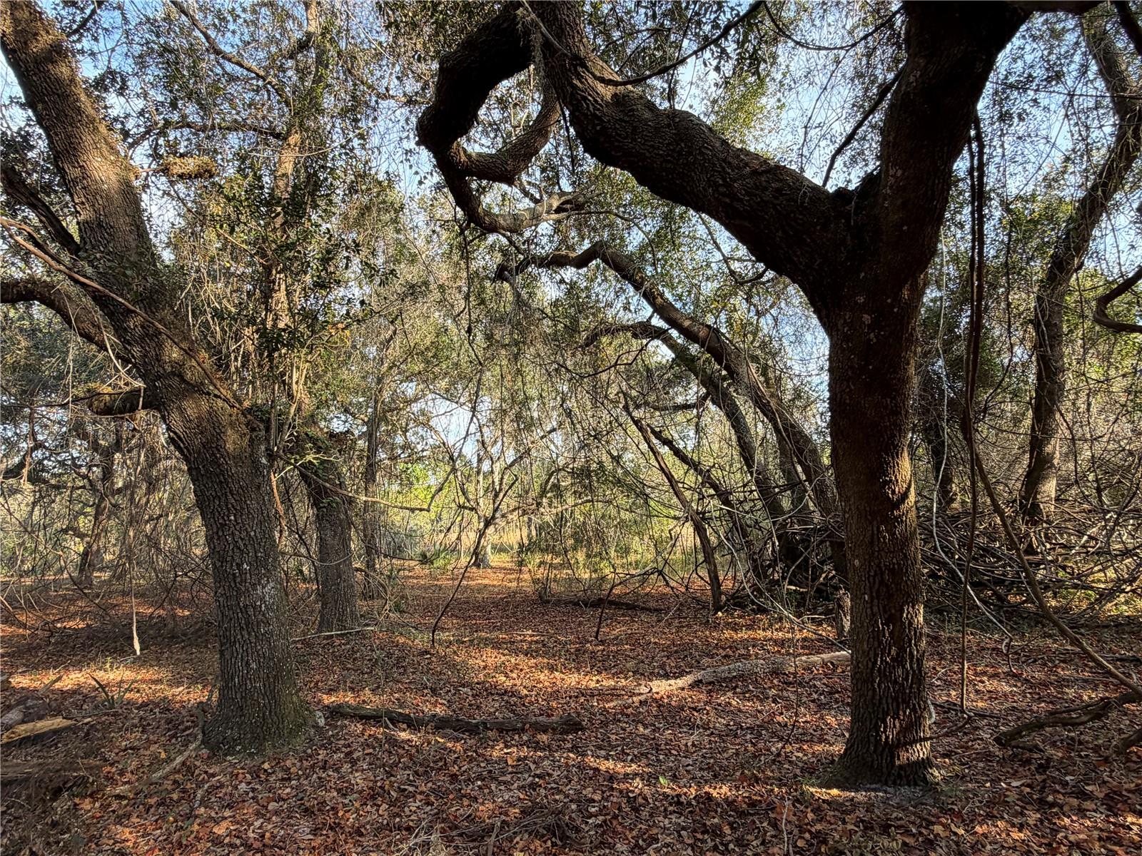 Image 11 of 18 For 6966 Turner Camp Road