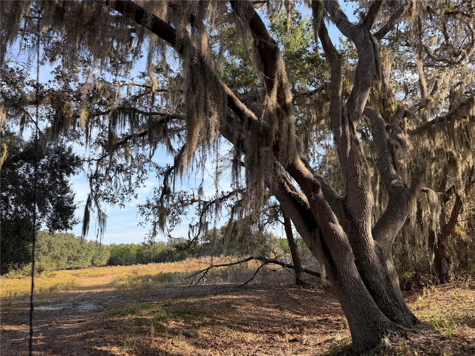 Image 9 of 18 For 6966 Turner Camp Road