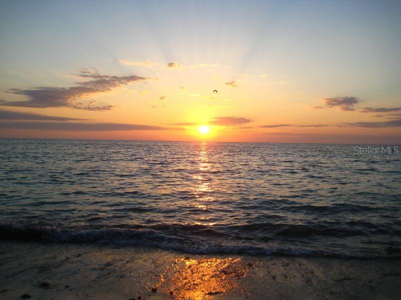 Image 48 of 48 For 650 Island Way 708