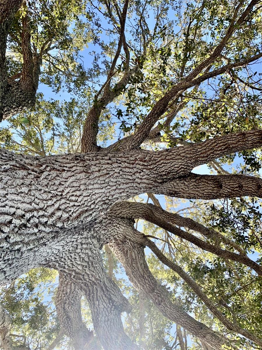 Image 31 of 34 For 4904 27th Avenue W