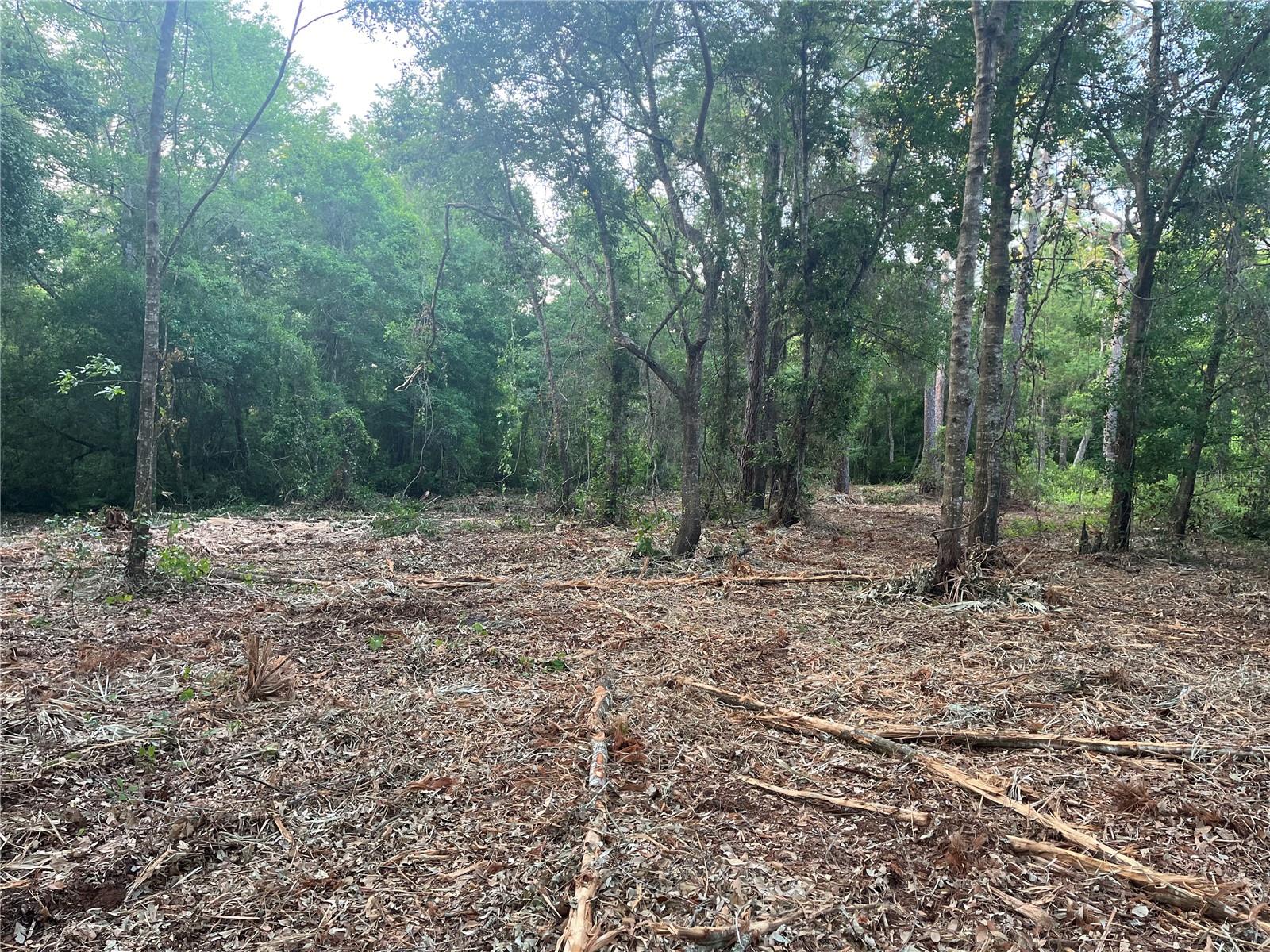 Details for 10117 Orland Street, NEW PORT RICHEY, FL 34654