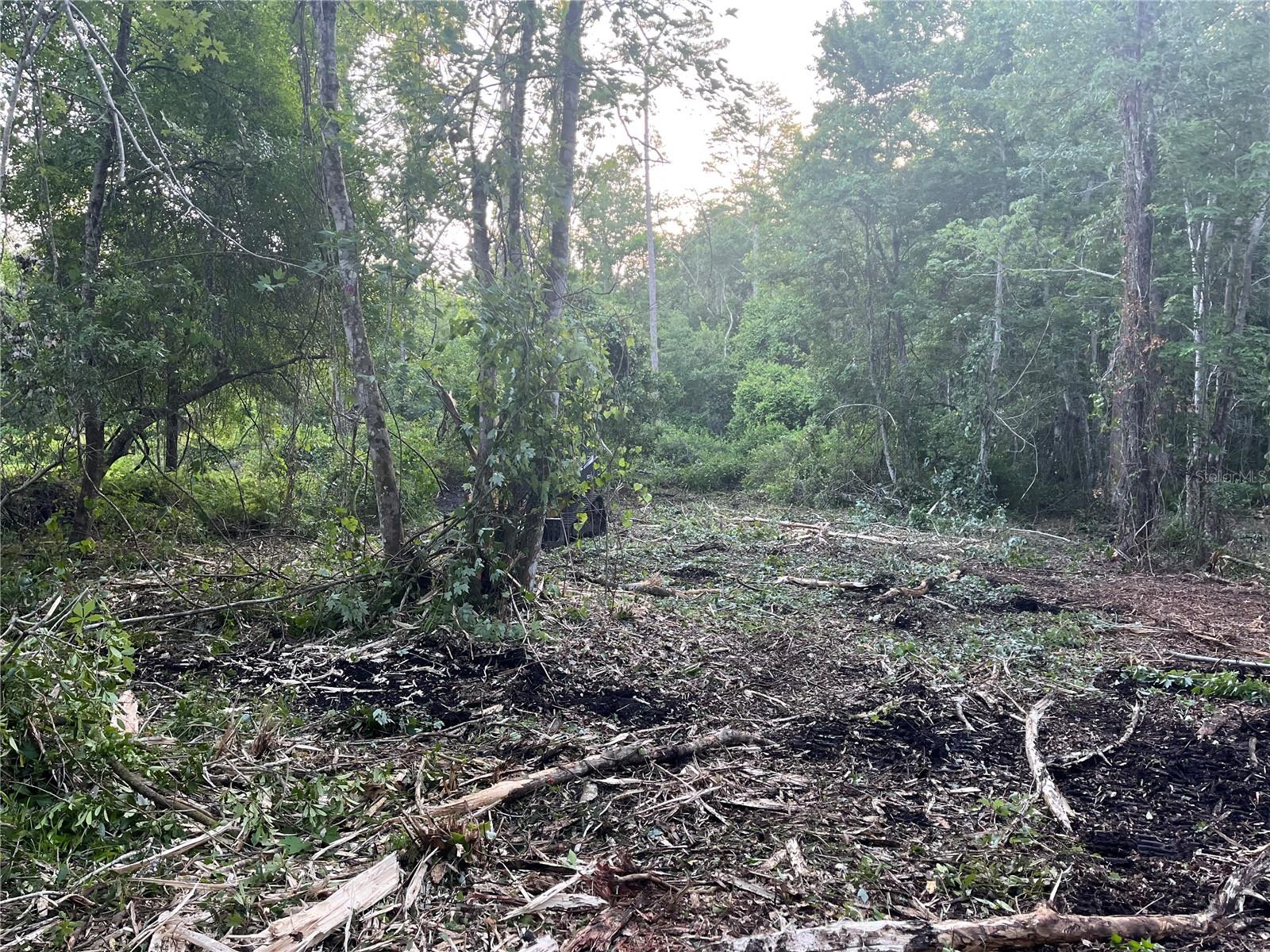 Image 3 of 6 For 10117 Orland Street