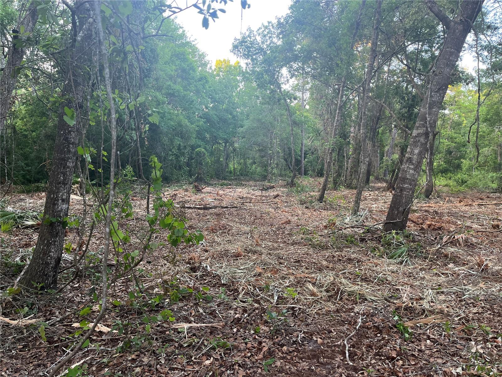 Image 4 of 6 For 10117 Orland Street