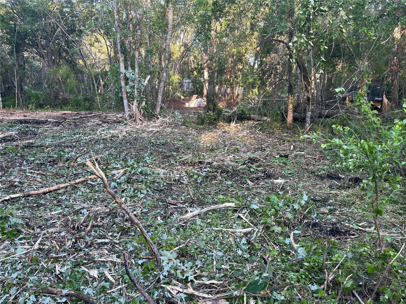 Image 6 of 6 For 10117 Orland Street