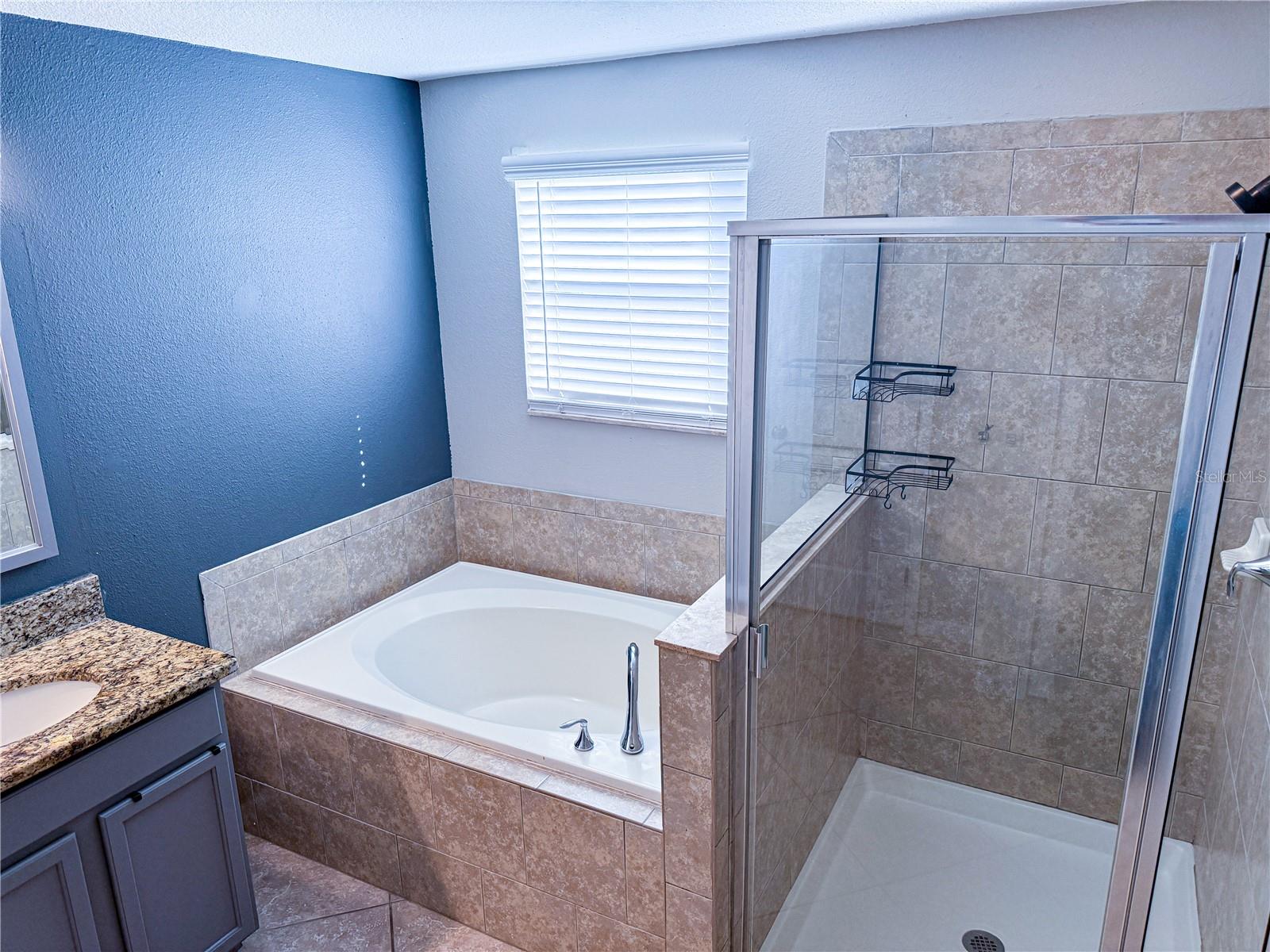 Image 42 of 47 For 909 Meadow Glade Drive