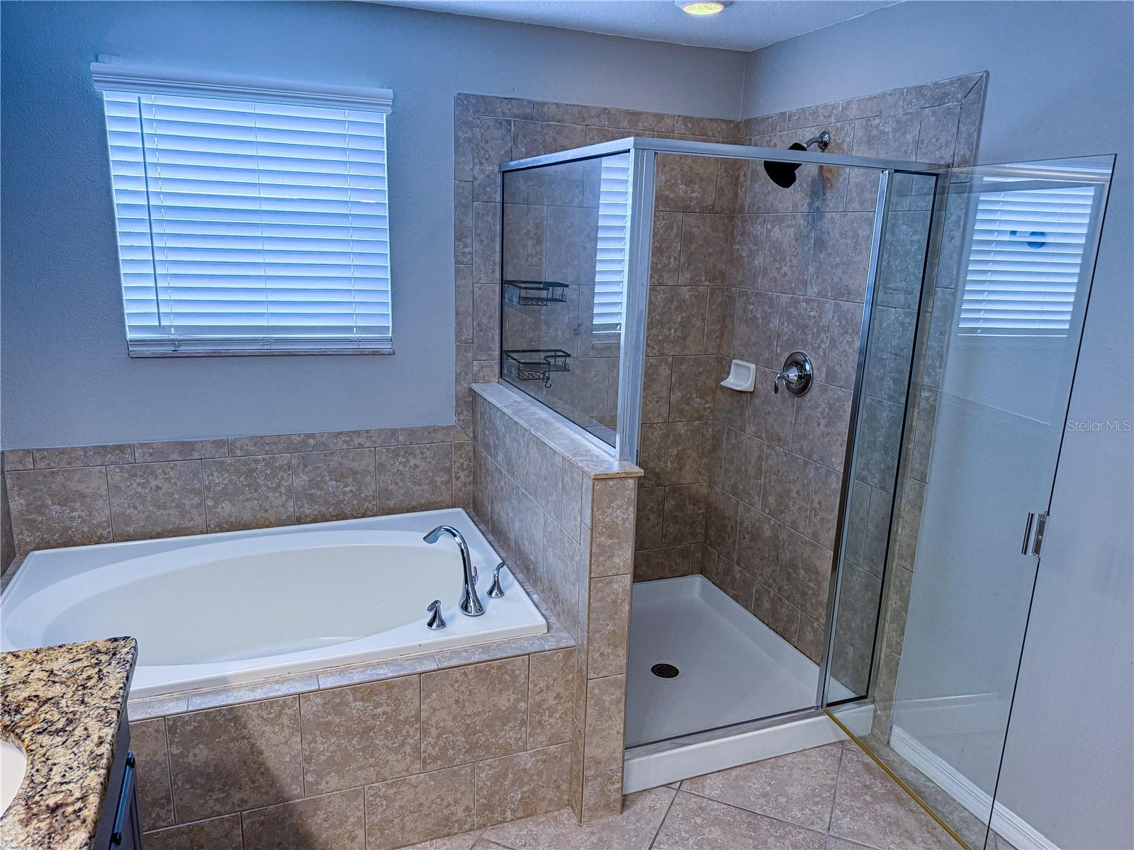 Image 46 of 47 For 909 Meadow Glade Drive