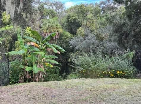 Image 18 of 18 For 1907 Mulberry #2 Drive A