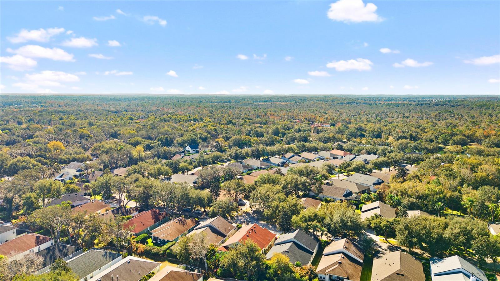 Image 46 of 50 For 15501 Martinmeadow Drive