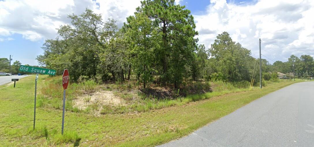 Details for 00 Old Squaw Avenue, WEEKI WACHEE, FL 34614