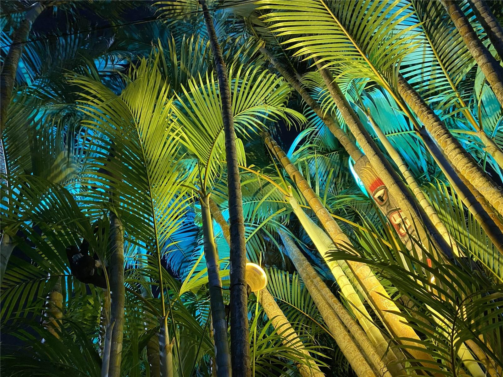 Image 29 of 32 For 2300 37th Avenue N