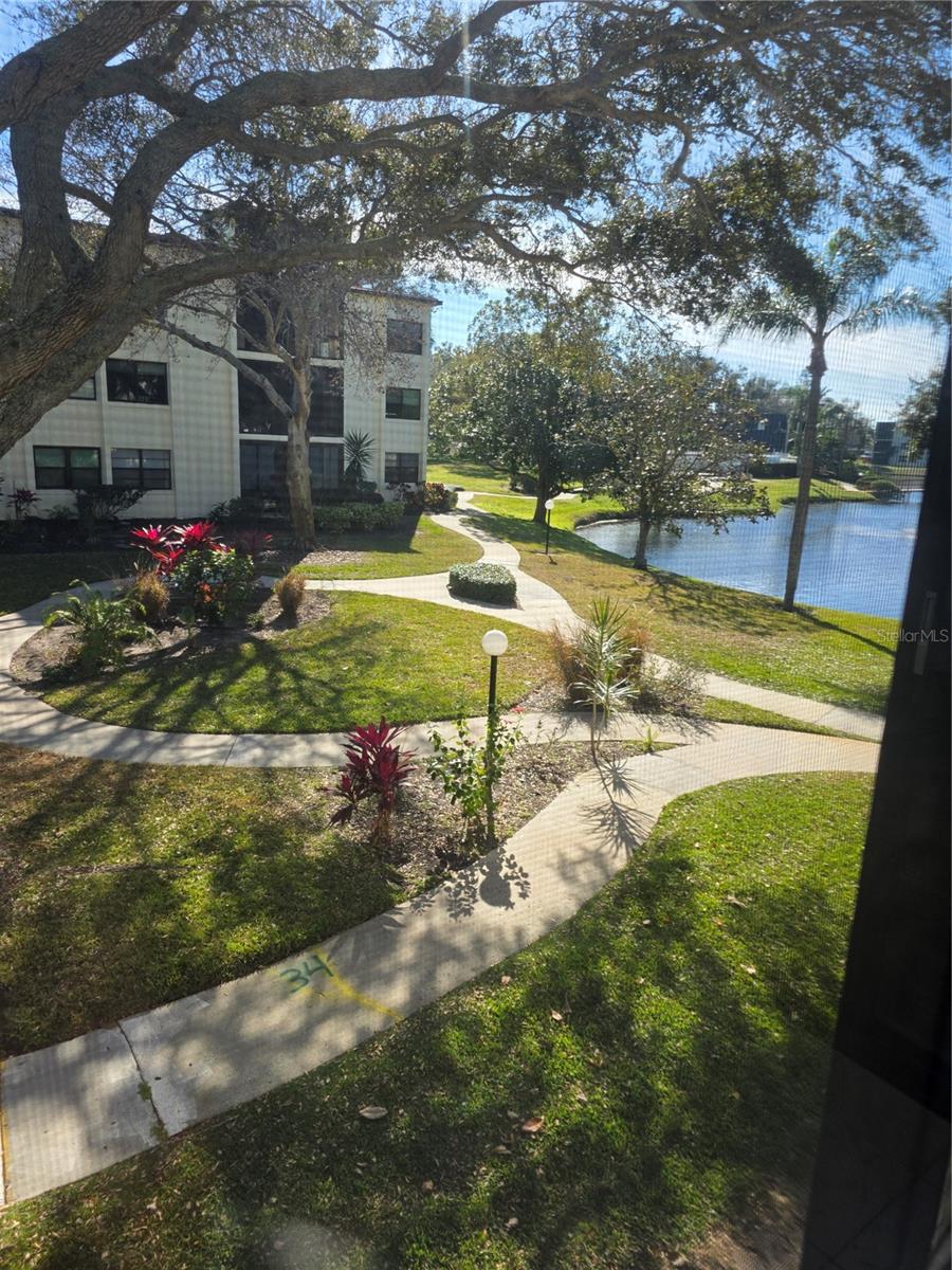 Image 15 of 32 For 14130 Rosemary Lane 2208