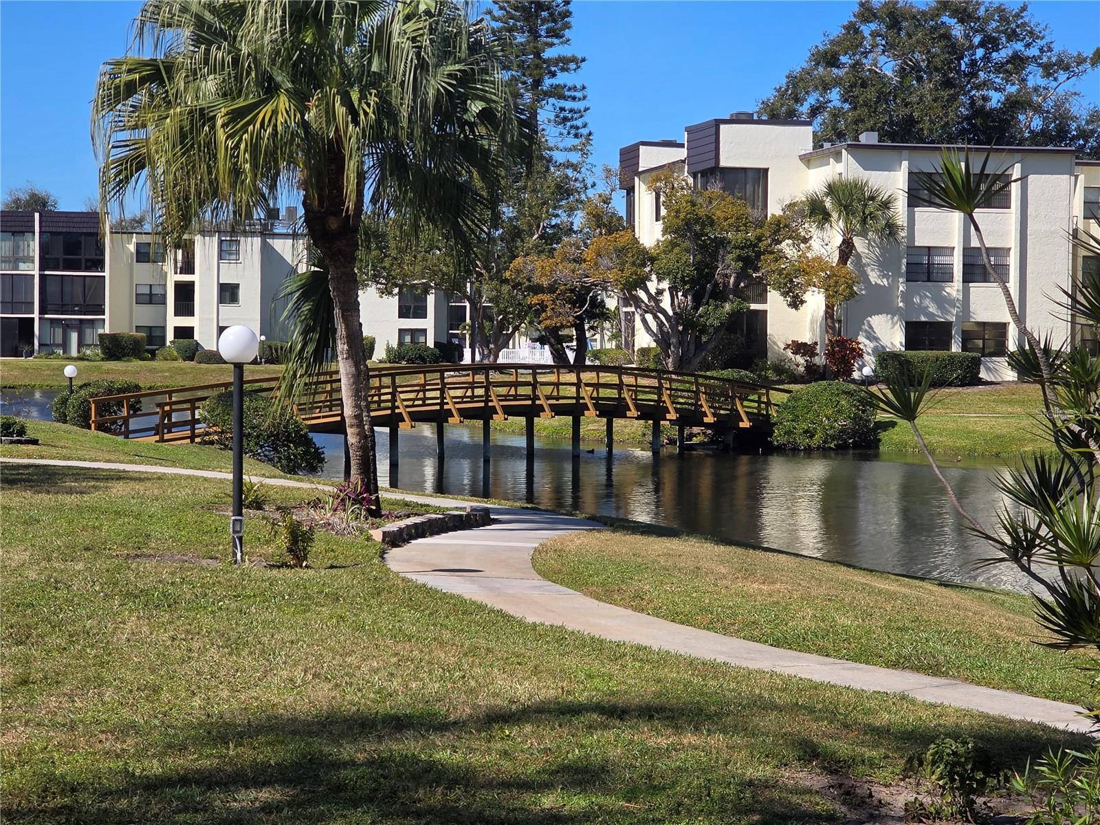 Image 31 of 32 For 14130 Rosemary Lane 2208