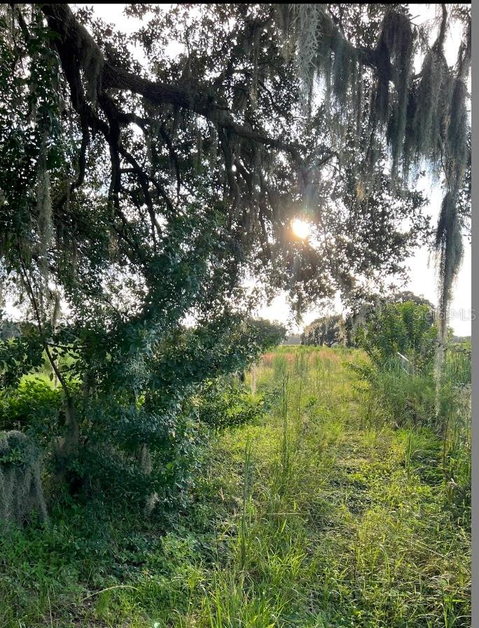 Image 2 of 2 For 13029 County Road 39