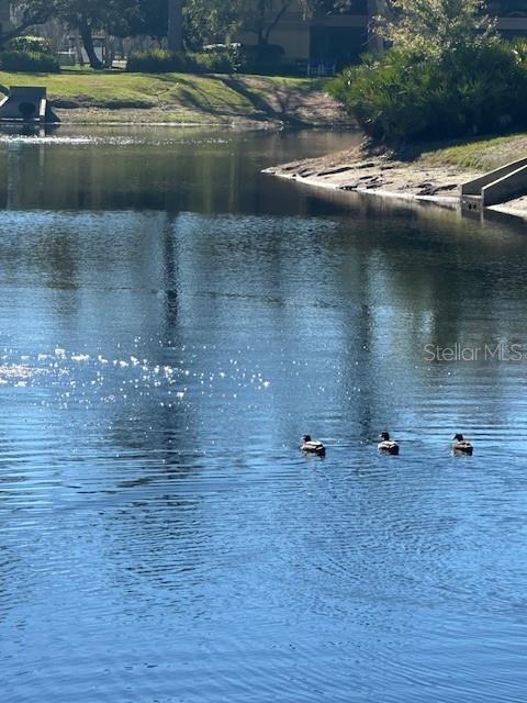 Image 33 of 39 For 2683 Sabal Springs Circle 101