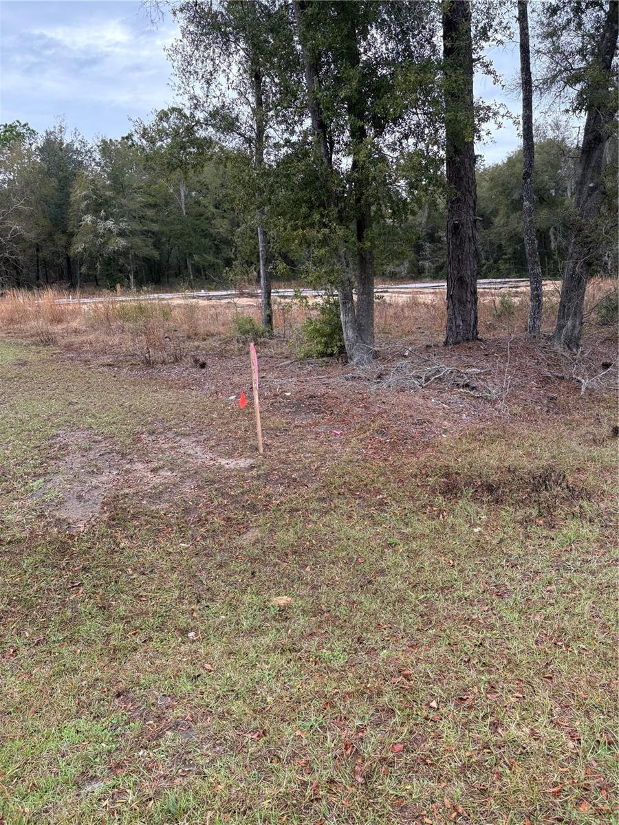 Details for Sw 202nd Ct &sw 63rd Pl, OCALA, FL 34471