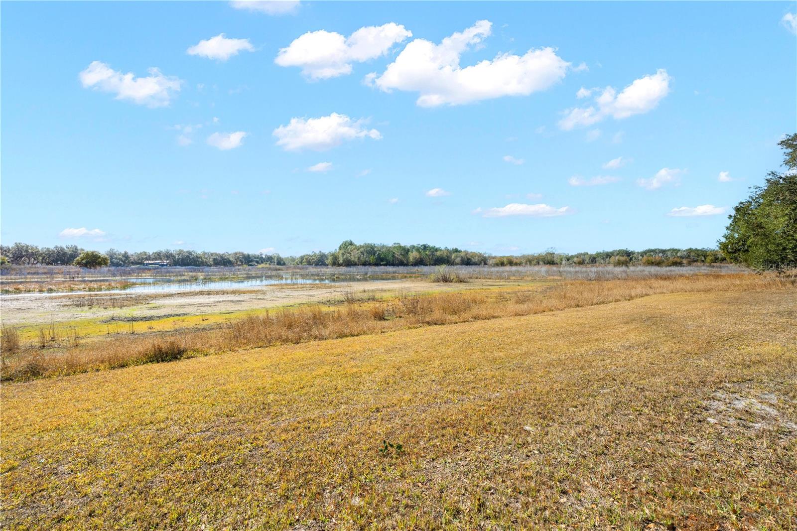 Details for Shorewood Drive, DADE CITY, FL 33523