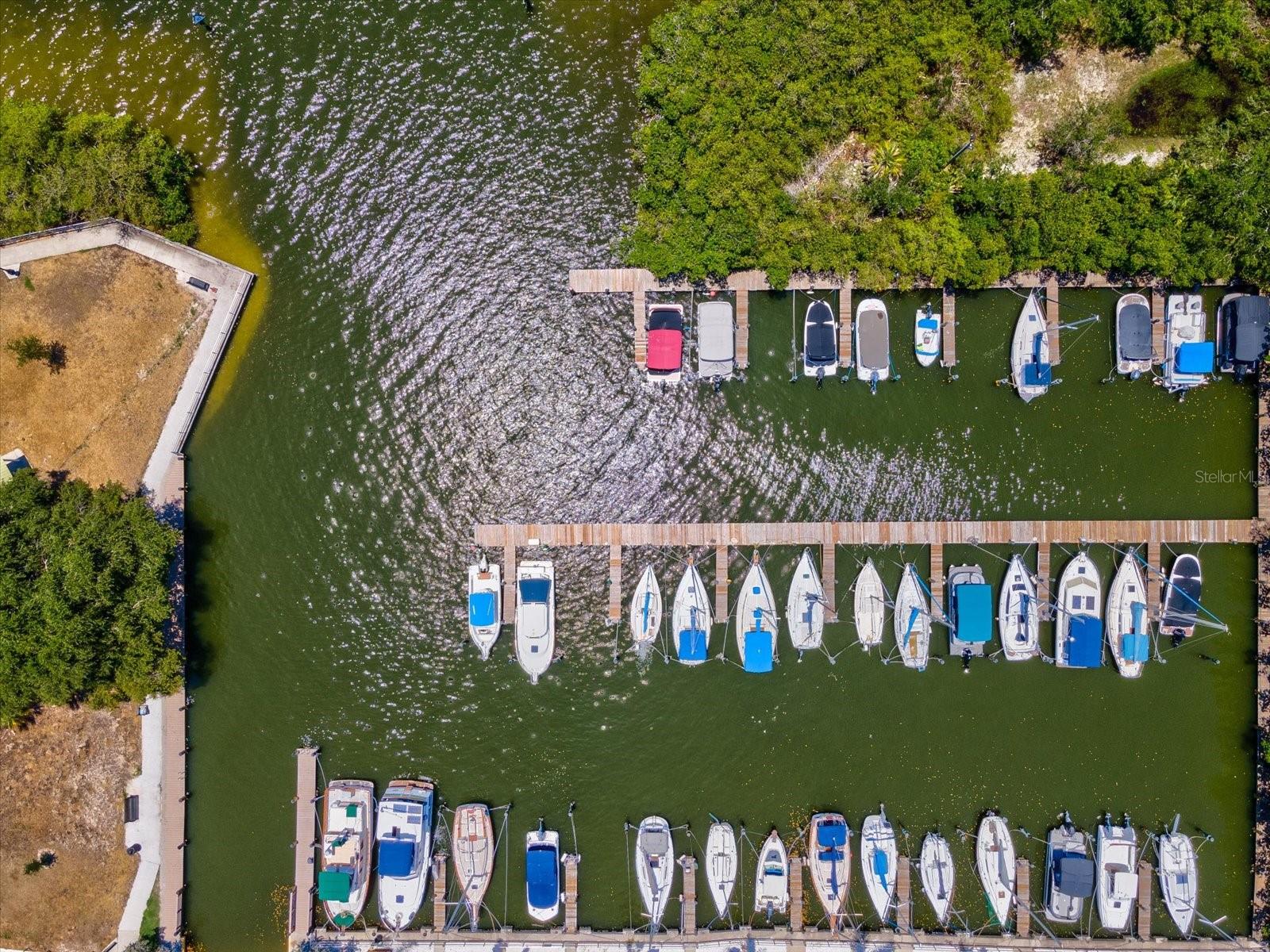 Image 47 of 55 For 413 Bayshore Boulevard 4