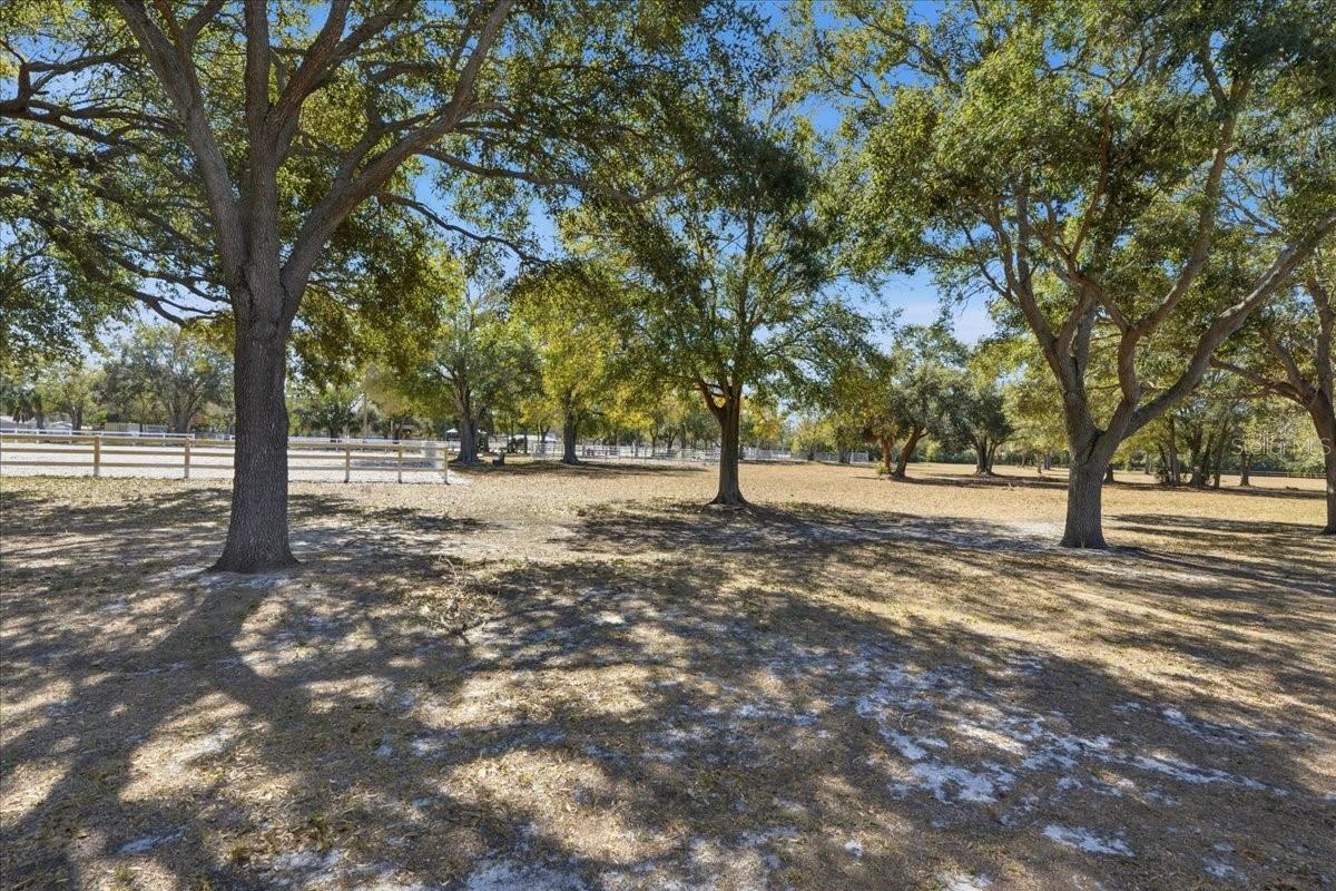 Image 27 of 30 For 6220 99th Circle N