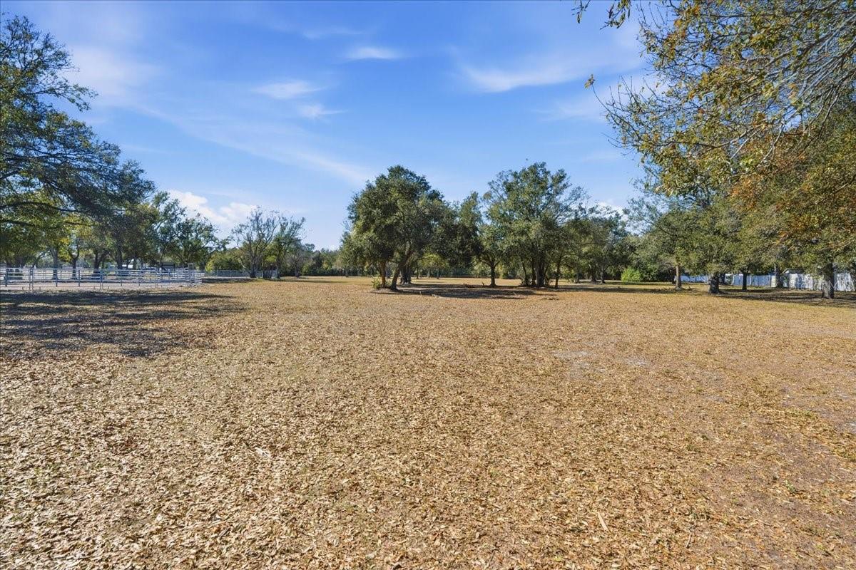 Image 28 of 30 For 6220 99th Circle N