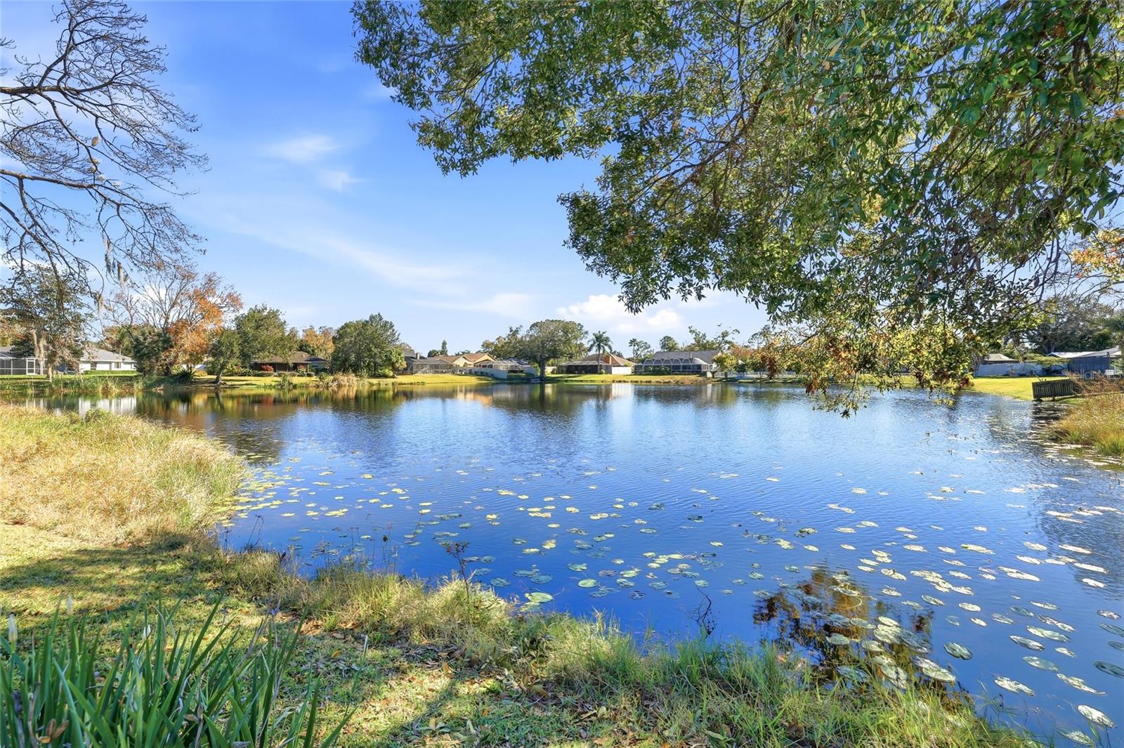 Image 58 of 69 For 4024 Dellbrook Drive