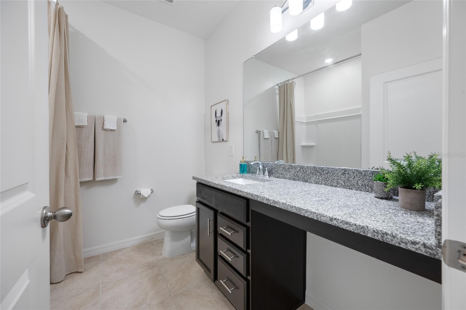 Image 56 of 72 For 20076 Azul Marble Loop