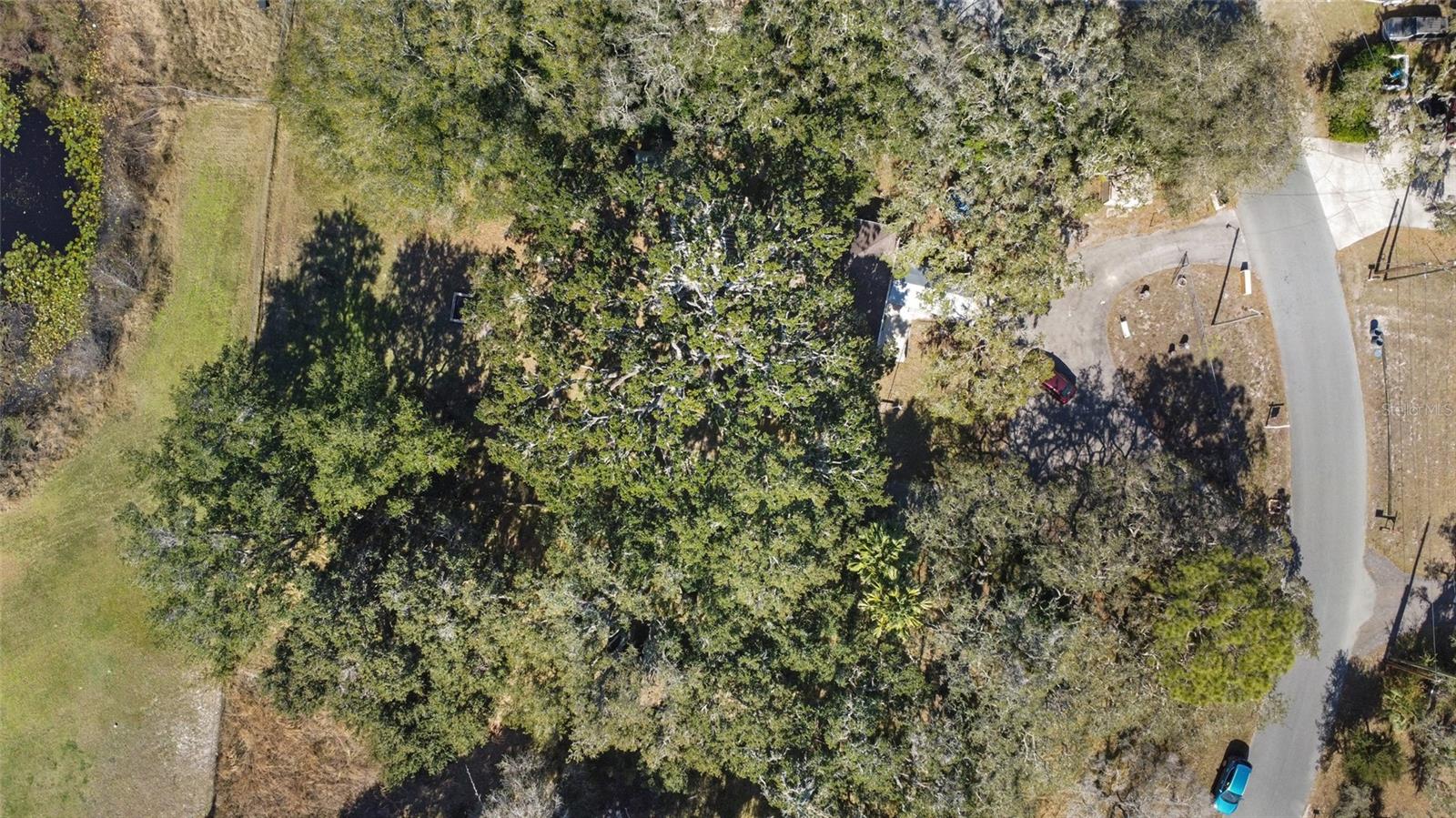 Image 51 of 52 For 10100 Frierson Lake Drive