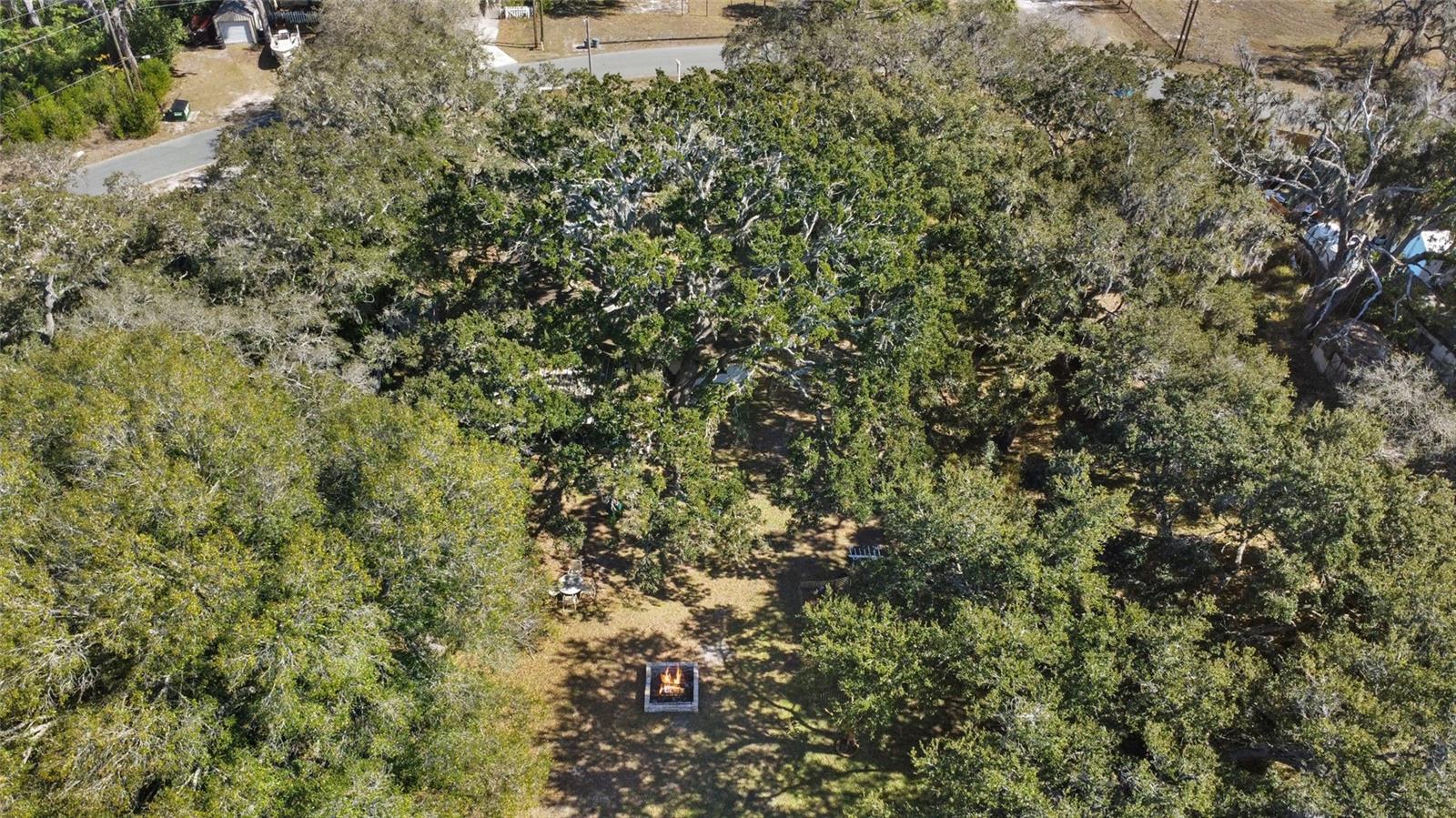 Image 52 of 52 For 10100 Frierson Lake Drive