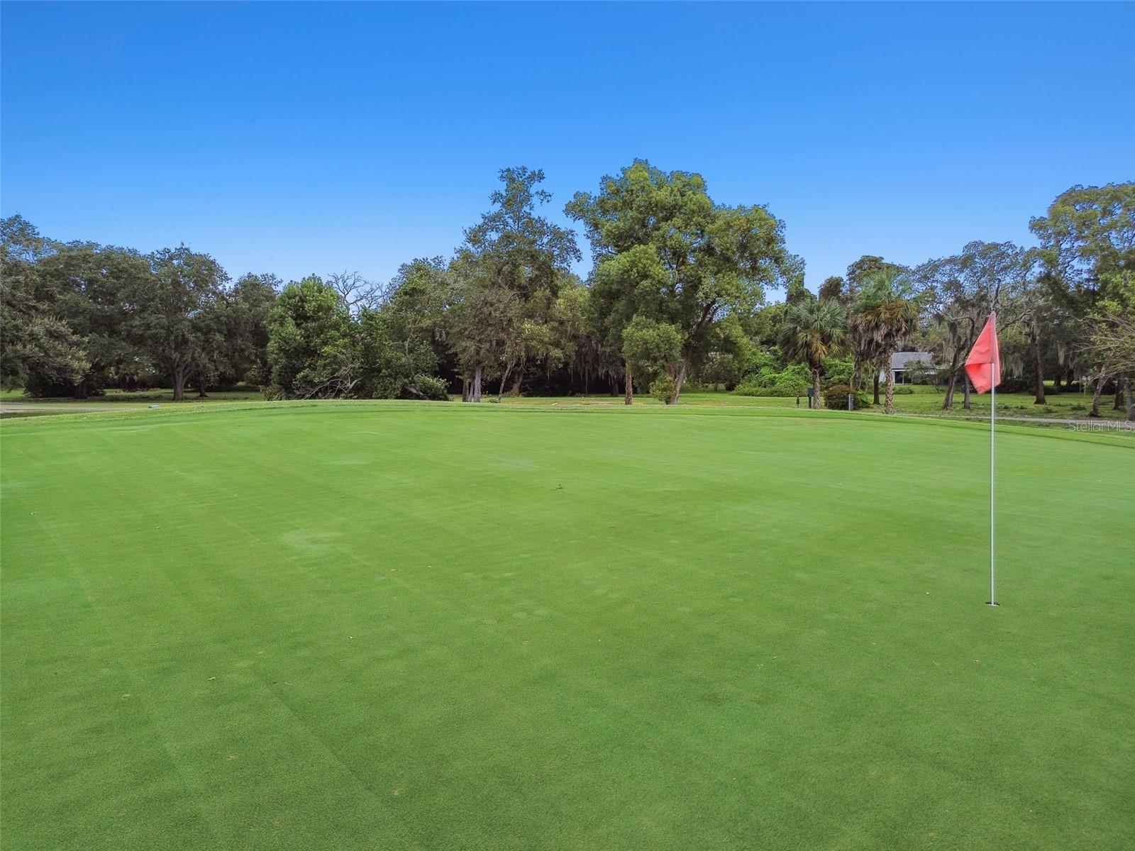 Image 32 of 40 For 12520 Coffee Hill Row