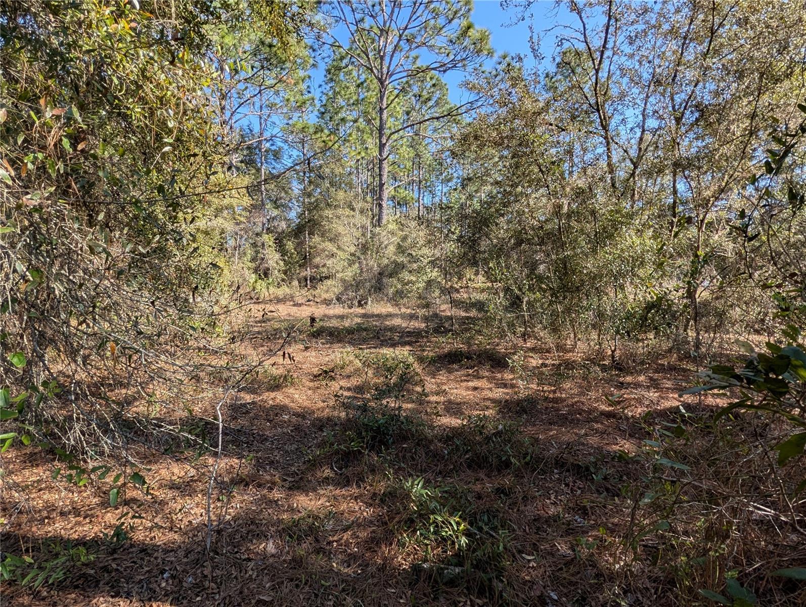 Image 4 of 13 For Soundview Drive