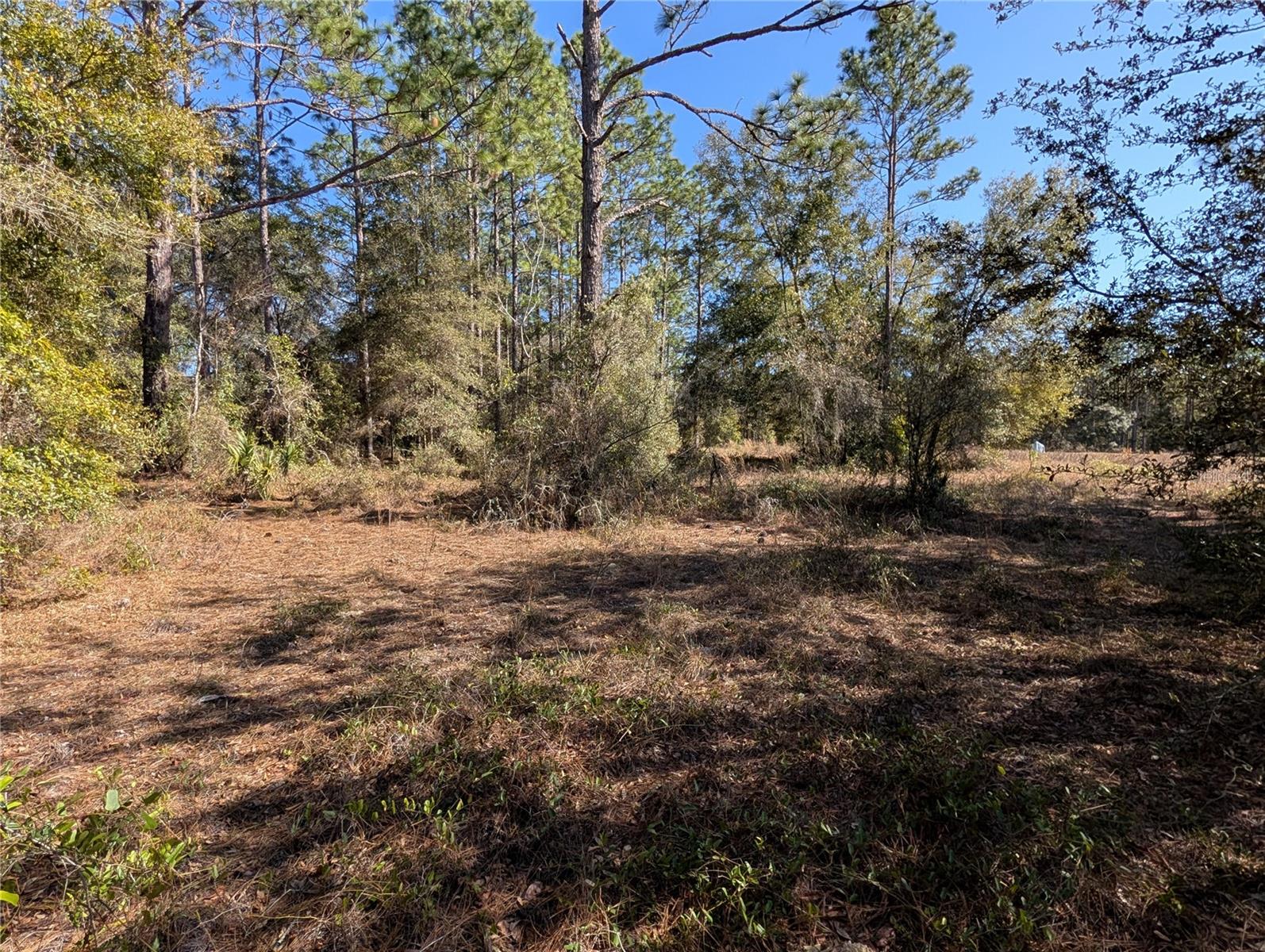 Image 5 of 13 For Soundview Drive