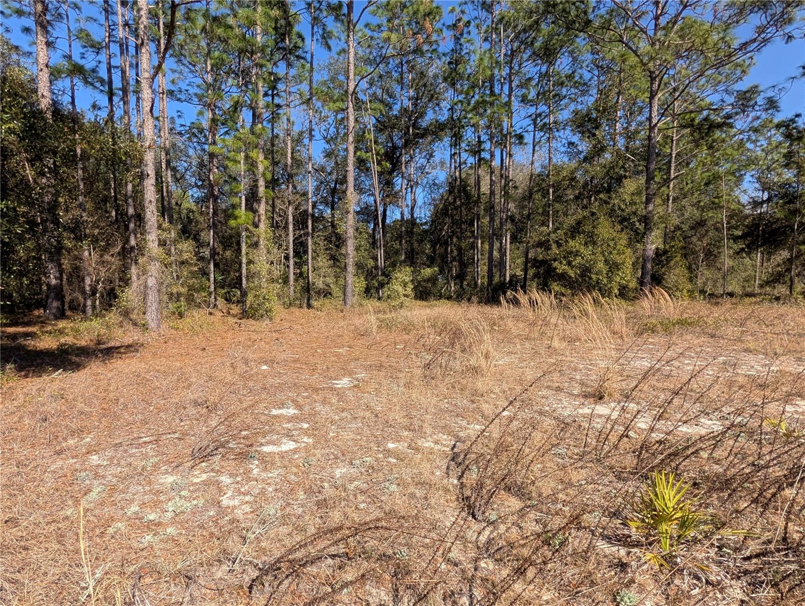 Image 7 of 13 For Soundview Drive