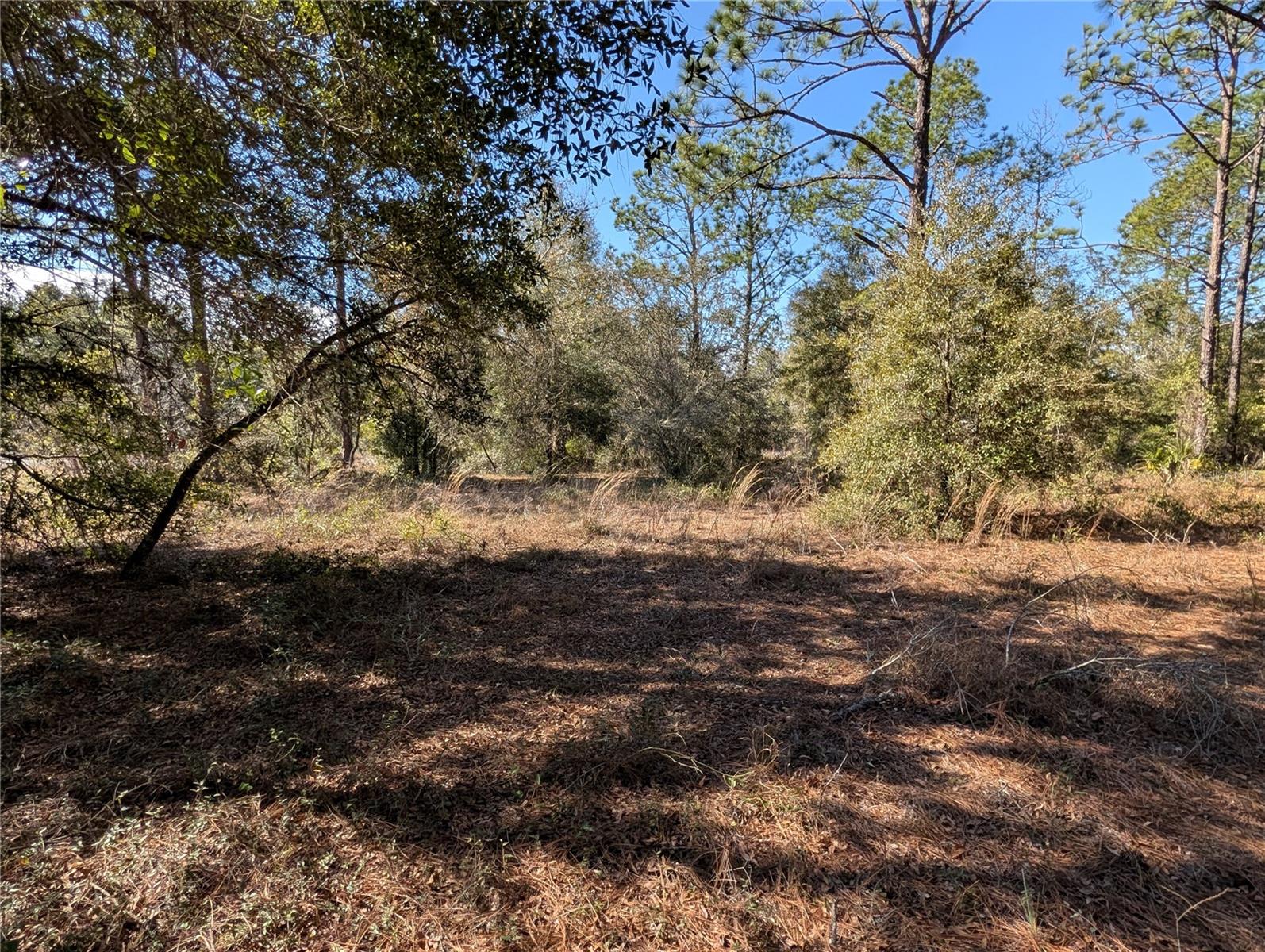 Image 8 of 13 For Soundview Drive