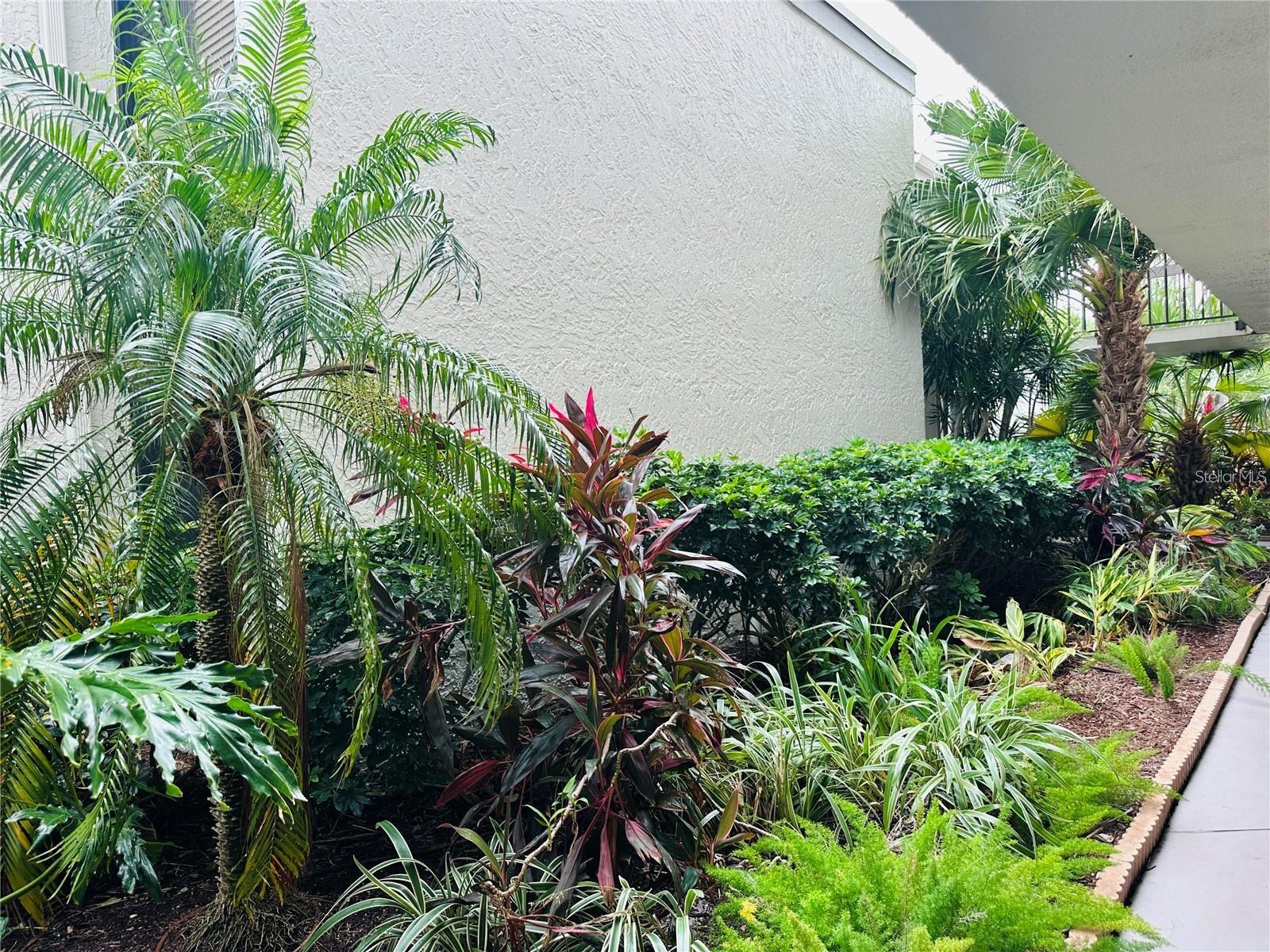 Image 42 of 47 For 6365 Bahia Del Mar Boulevard 506