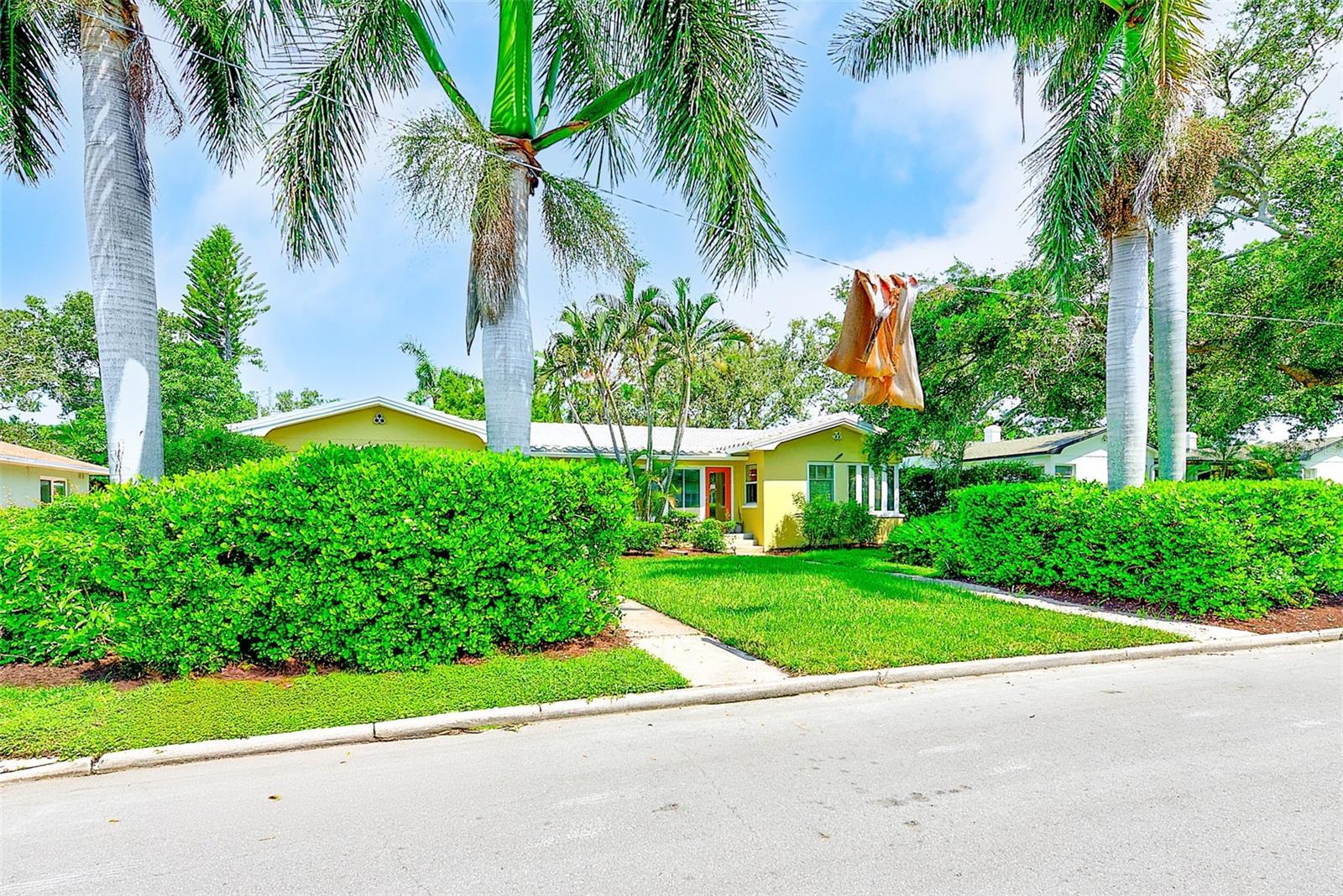 Image 47 of 50 For 240-242 Mateo Way Ne