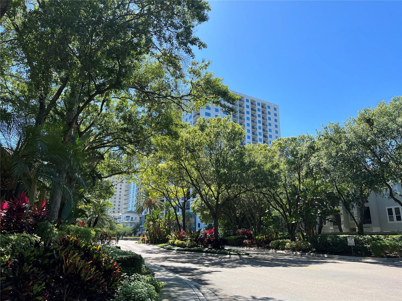 Image 40 of 41 For 805 Normandy Trace Road