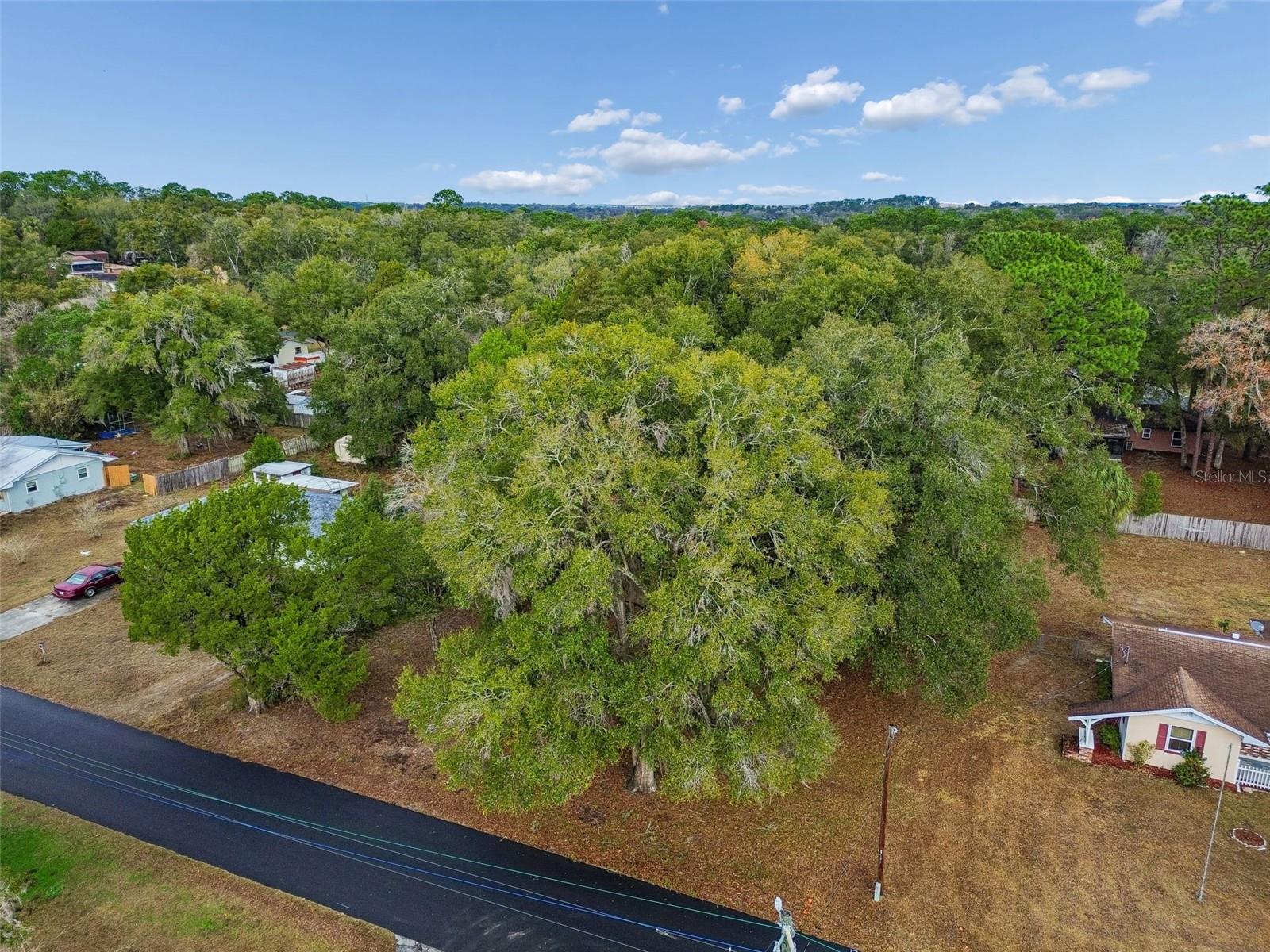 Image 23 of 43 For 5501 Live Oak Lane