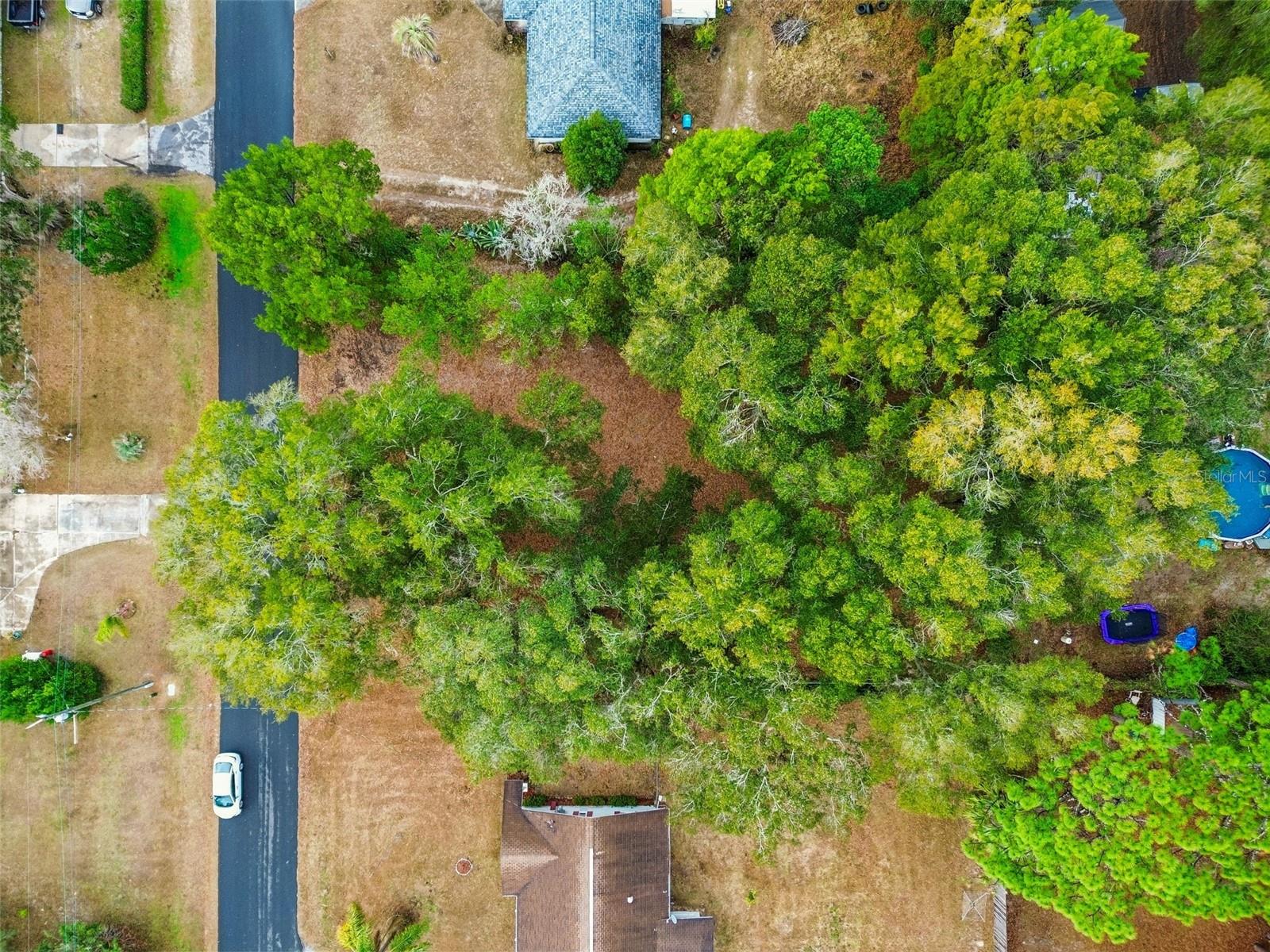 Image 33 of 43 For 5501 Live Oak Lane