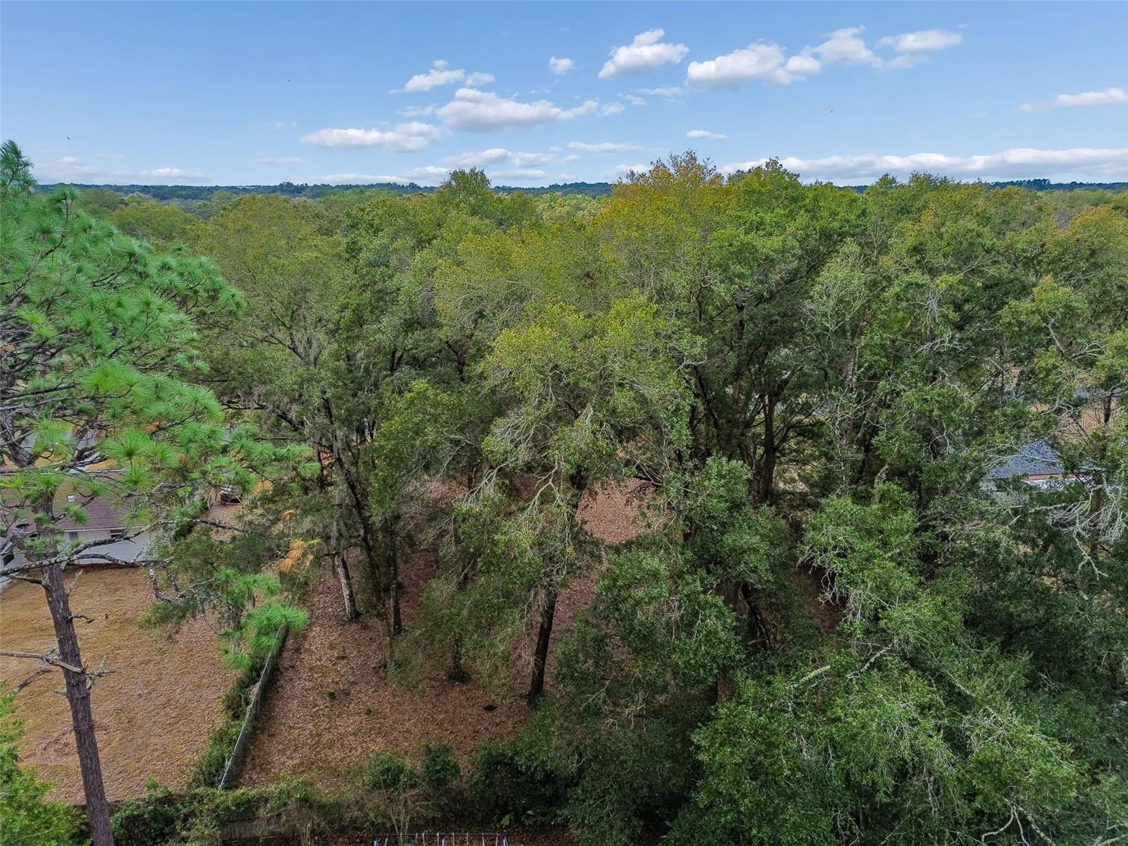 Image 41 of 43 For 5501 Live Oak Lane