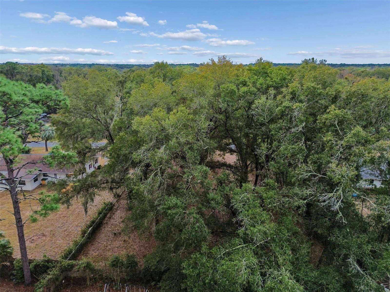 Image 42 of 43 For 5501 Live Oak Lane