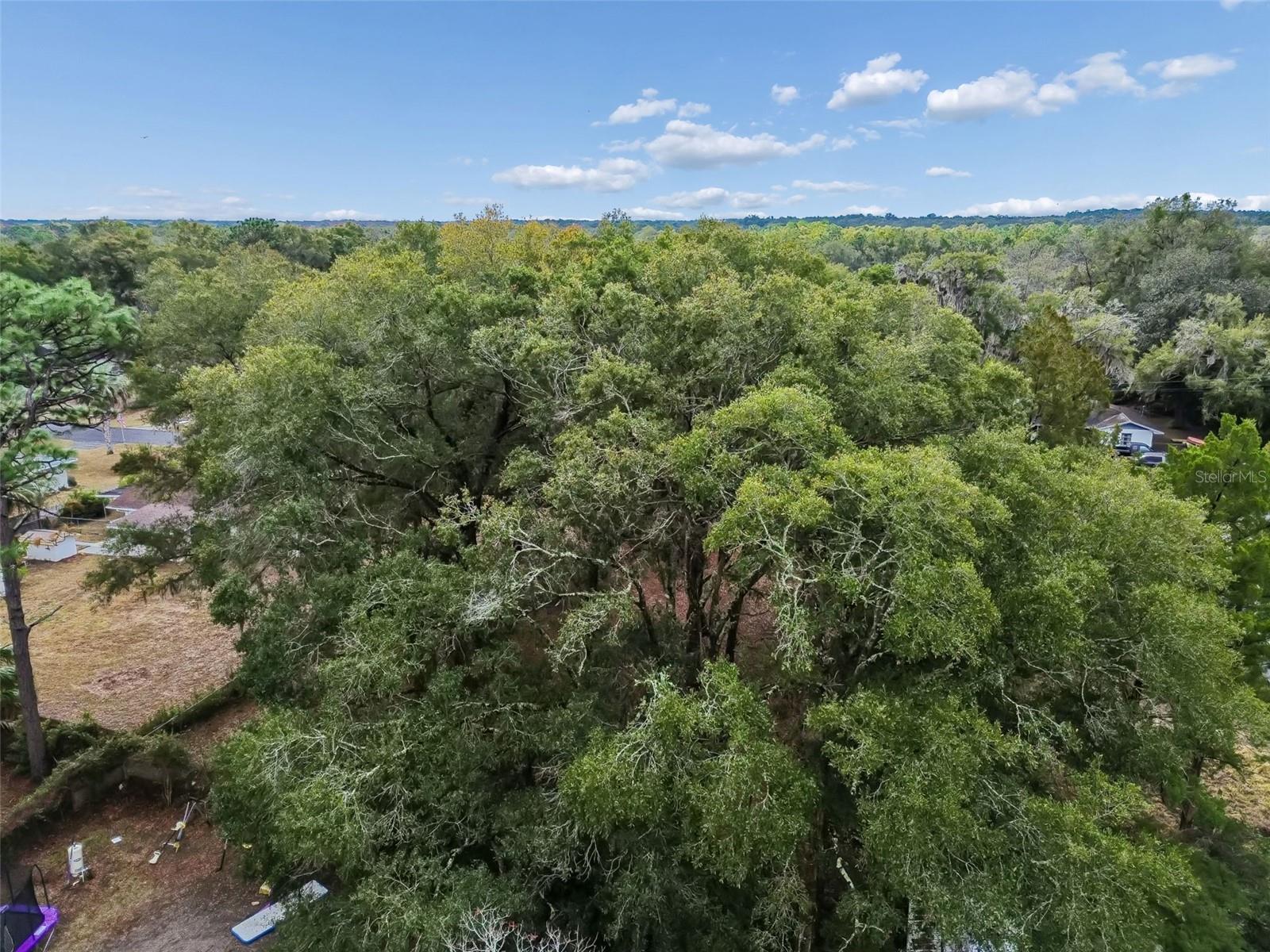 Image 43 of 43 For 5501 Live Oak Lane