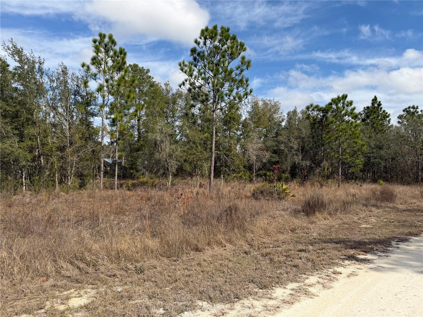 Image 8 of 10 For 16426 Courlan Road