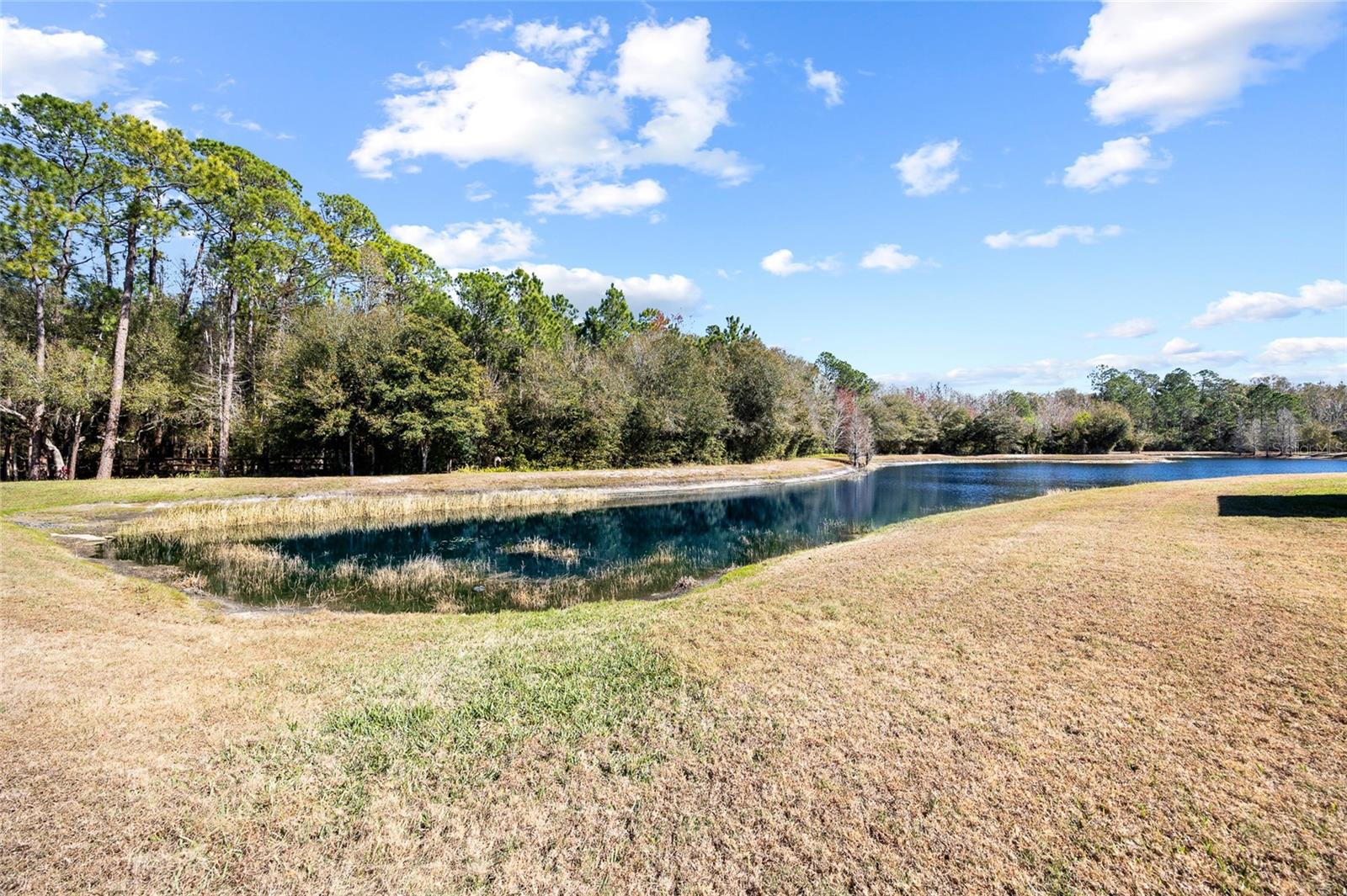 Image 32 of 45 For 1118 Wright Swynde Court