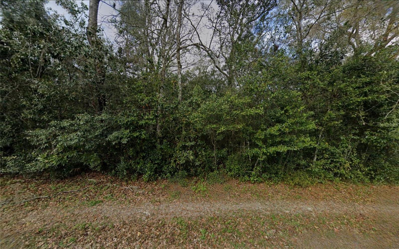 Listing photo id 0 for 6524 Sourgum Terrace