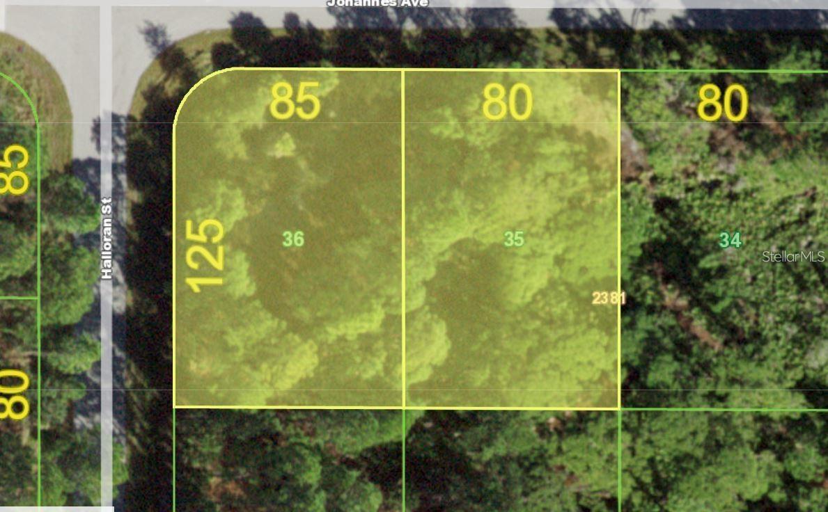 Listing Details for 13069-13061 Johannes Avenue, PORT CHARLOTTE, FL 33953