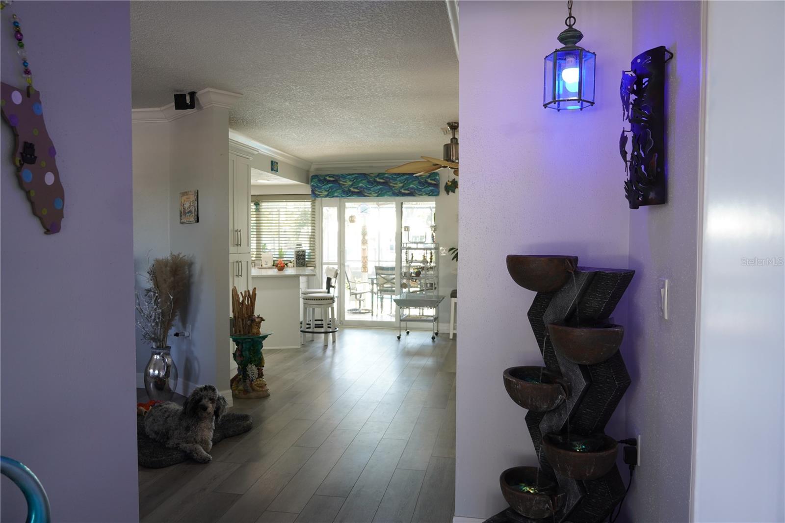 Image 23 of 69 For 908 Sago Palm Way