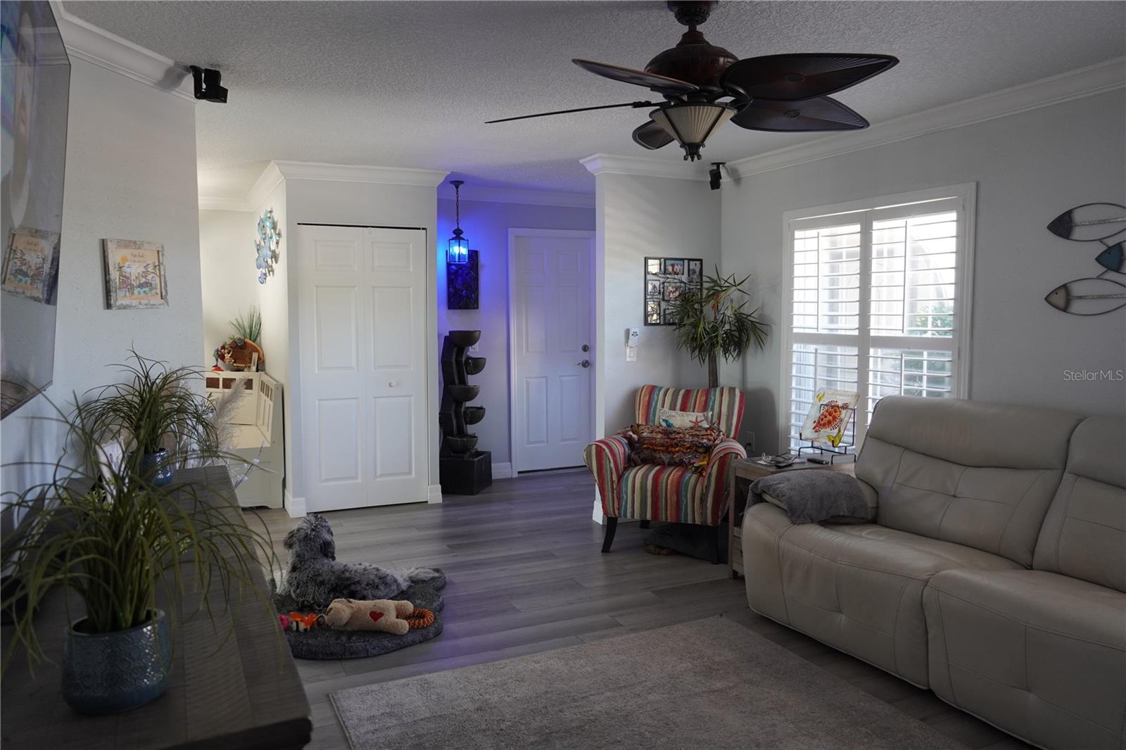 Image 26 of 69 For 908 Sago Palm Way